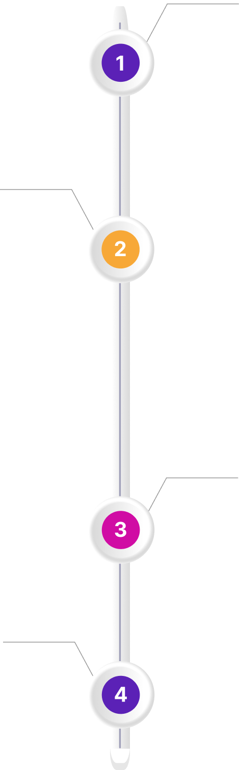 Our Process Timeline