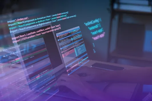 Custom Software Development