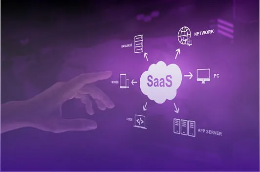SaaS Development