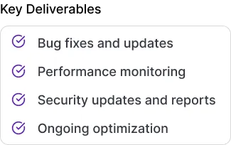 Maintenance & Ongoing Support
