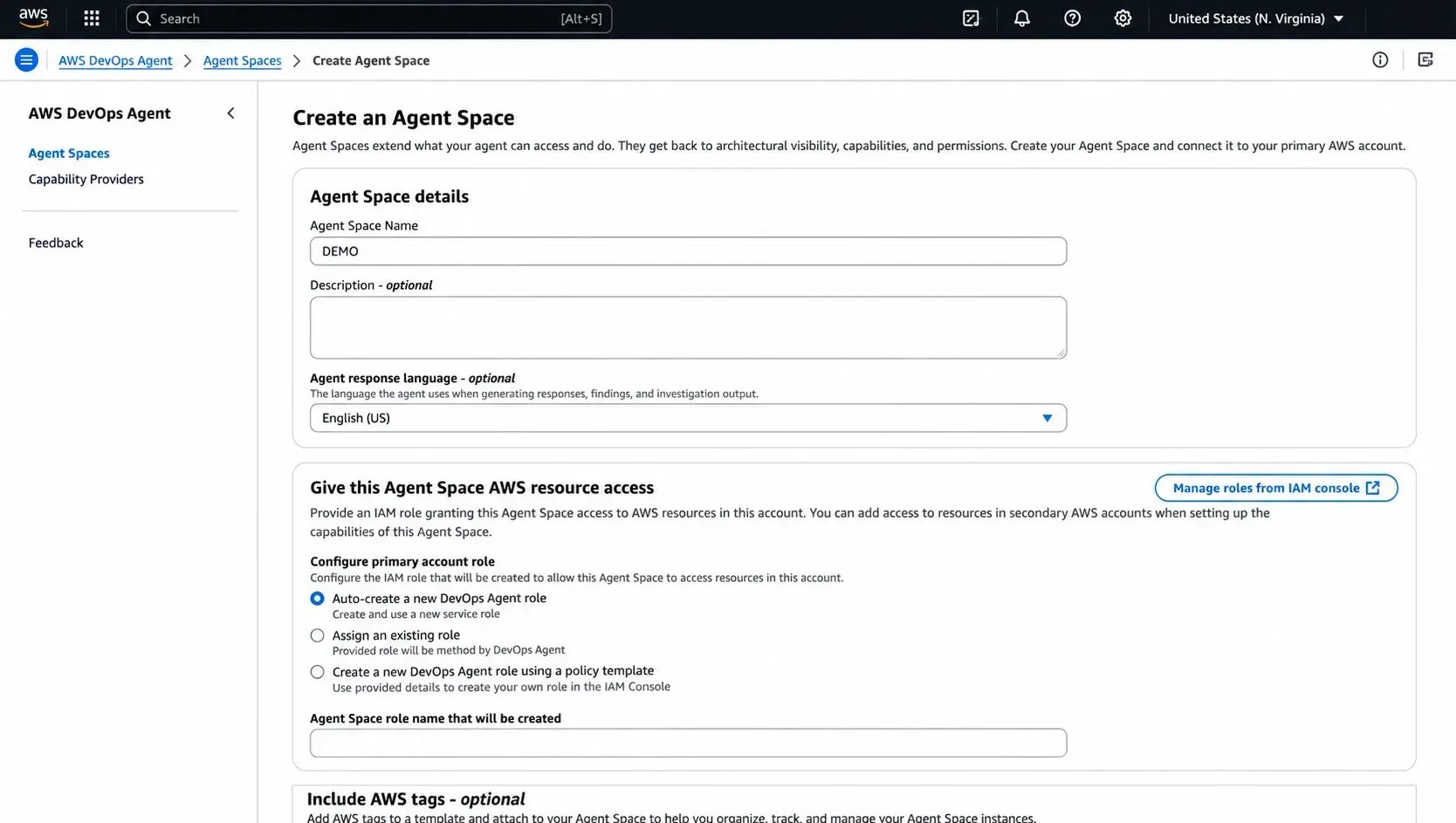 AWS DevOps Agent Space configuration